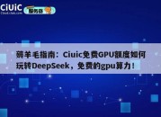 薅羊毛指南：Ciuic免费GPU额度如何玩转DeepSeek，免费的gpu算力！