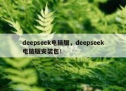 deepseek电脑版，deepseek电脑版安装包！