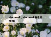 deepseek，deepseek有电脑版吗！