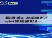 模型轻量化魔法：Ciuic边缘计算+DeepSeek剪枝方案的简单介绍