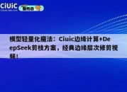 模型轻量化魔法：Ciuic边缘计算+DeepSeek剪枝方案，经典边缘层次修剪视频！