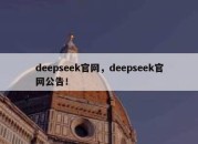 deepseek官网，deepseek官网公告！