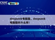 deepseek电脑版，deepseek电脑版长什么样！