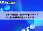 技术冷战视角：国产DeepSeek+Ciuic组合的战略价值的简单介绍