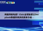 跨国传输龟速？Ciuic全球加速让DeepSeek数据秒同步的简单介绍