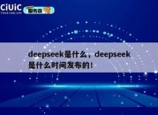 deepseek是什么，deepseek是什么时间发布的！