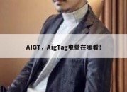 AIGT，AigTag电量在哪看！