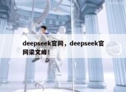 deepseek官网，deepseek官网梁文峰！
