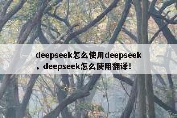 deepseek怎么使用deepseek，deepseek怎么使用翻译！ 第1张