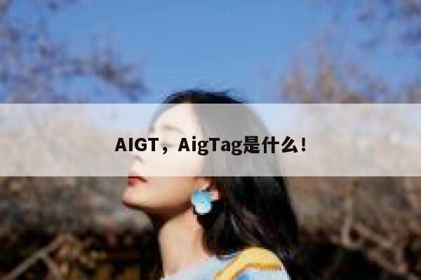 AIGT，AigTag是什么！ 第1张
