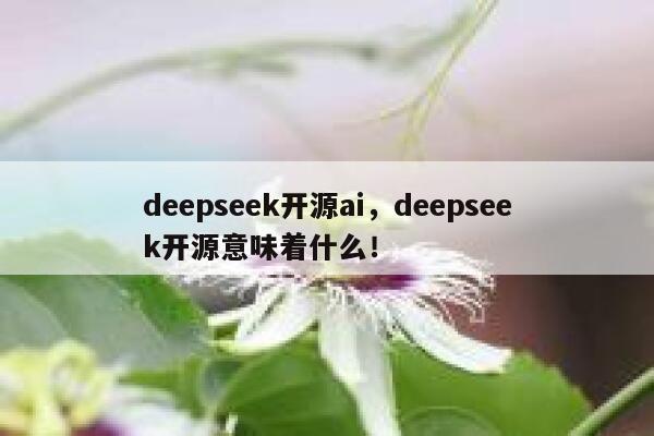 deepseek开源ai，deepseek开源意味着什么！ 第1张