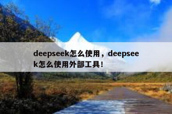 deepseek怎么使用，deepseek怎么使用外部工具！ 第1张
