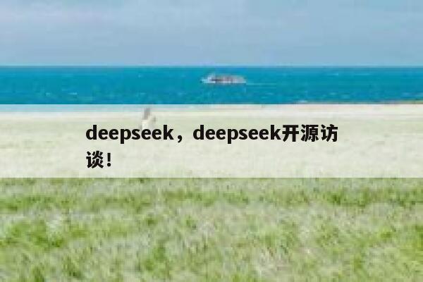 deepseek,deepseek开源访谈! 第1张 deepseek,deepseek开源访谈! 第1张