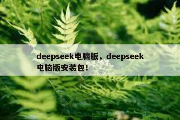 deepseek电脑版,deepseek电脑版安装包! 第1张 deepseek电脑版,deepseek电脑版安装包! 第1张