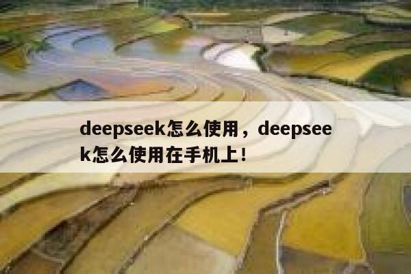 deepseek怎么使用，deepseek怎么使用在手机上！ 第1张