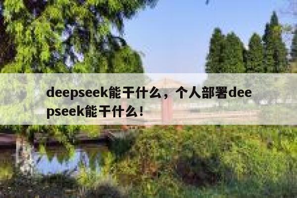 deepseek能干什么，个人部署deepseek能干什么！ 第1张