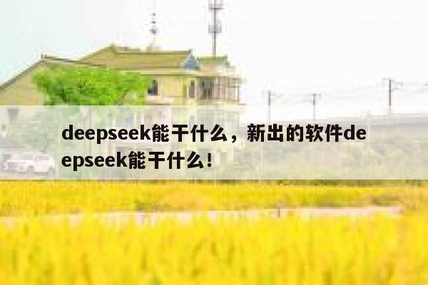 deepseek能干什么，新出的软件deepseek能干什么！ 第1张