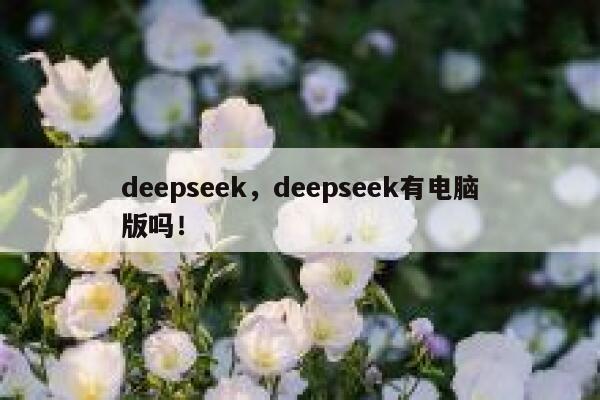 deepseek,deepseek有电脑版吗! 第1张 deepseek,deepseek有电脑版吗! 第1张