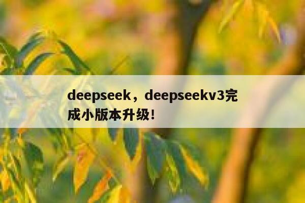 deepseek，deepseekv3完成小版本升级！ 第1张