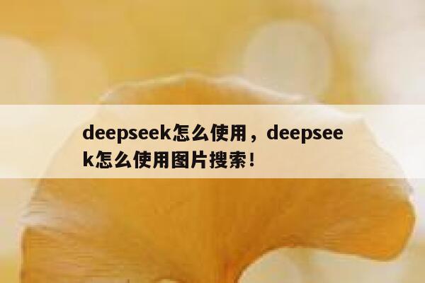 deepseek怎么使用，deepseek怎么使用图片搜索！ 第1张