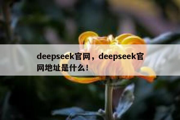 deepseek官网,deepseek官网地址是什么! 第1张 deepseek官网,deepseek官网地址是什么! 第1张