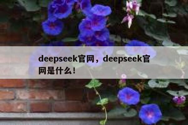 deepseek官网，deepseek官网是什么！ 第1张