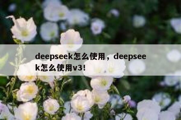 deepseek怎么使用，deepseek怎么使用v3！ 第1张