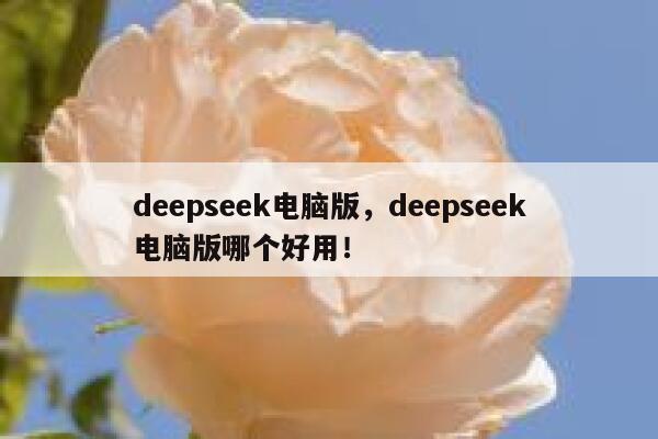 deepseek电脑版，deepseek电脑版哪个好用！ 第1张