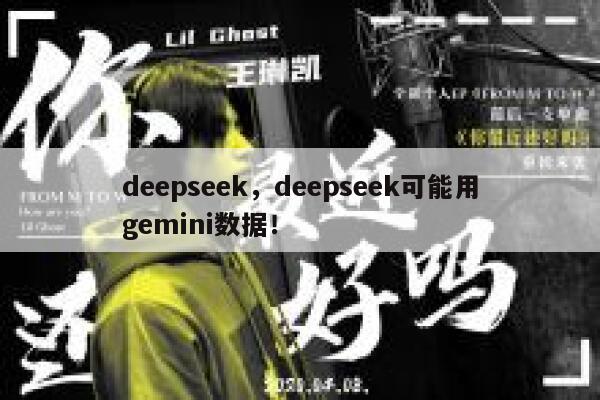 deepseek,deepseek可能用gemini数据! 第1张 deepseek,deepseek可能用gemini数据! 第1张