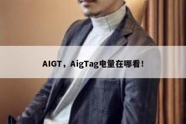 AIGT,AigTag电量在哪看! 第1张 AIGT,AigTag电量在哪看! 第1张