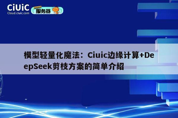 模型轻量化魔法：Ciuic边缘计算+DeepSeek剪枝方案的简单介绍 第1张