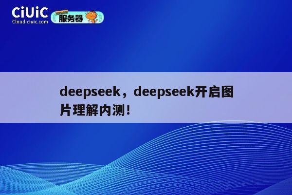 deepseek，deepseek开启图片理解内测！ 第1张